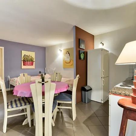 어코모데이션 지나 * 자다르