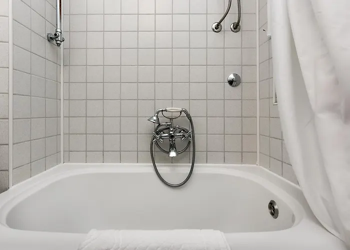 어코모데이션 지나 자다르