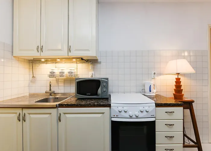 어코모데이션 지나 자다르