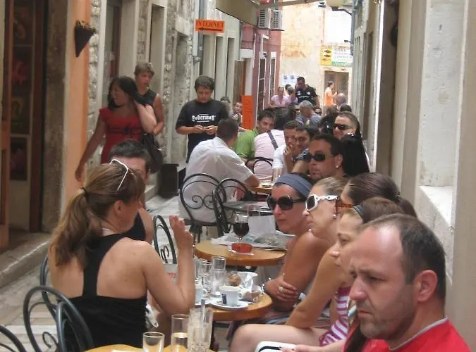 어코모데이션 지나 자다르