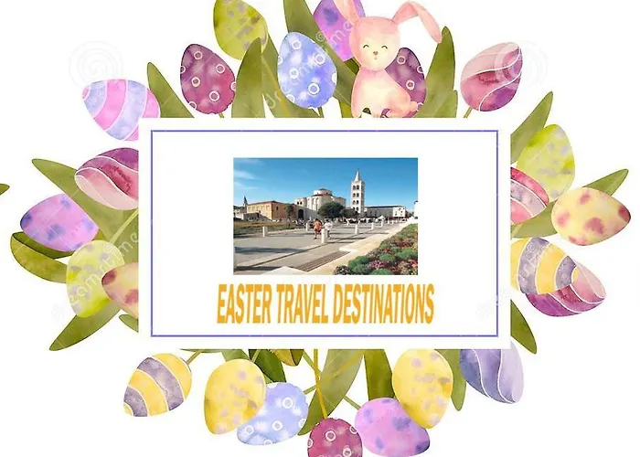 어코모데이션 지나 *