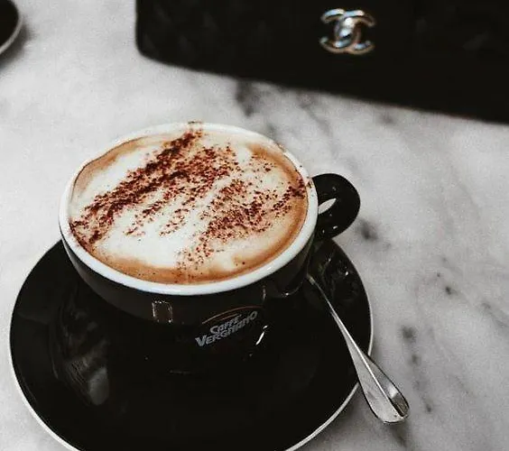 어코모데이션 지나 자다르